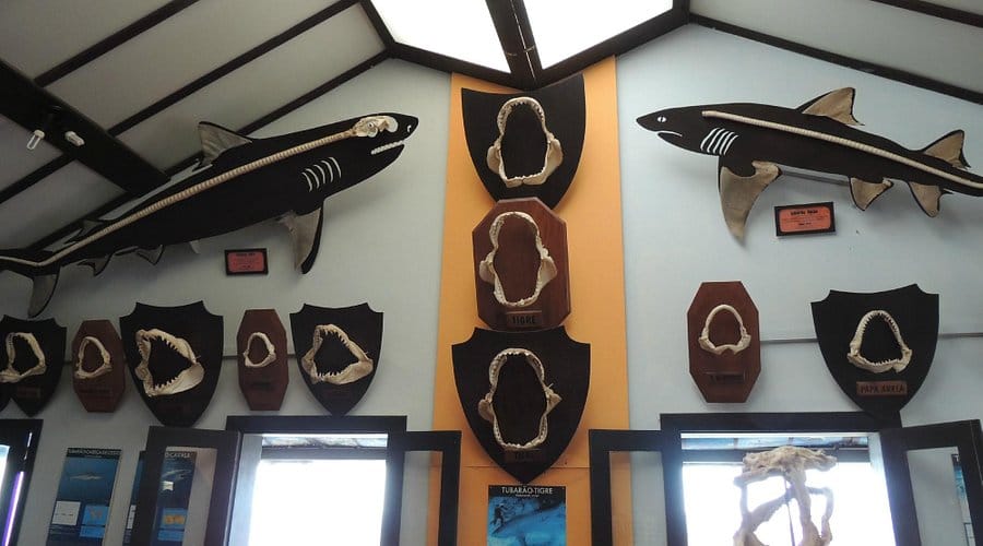 Roteiro do Ilha tour em Fernando de Noronha